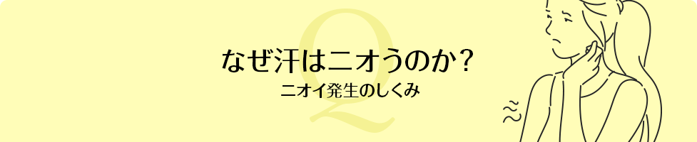 なぜ汗はニオうのか?(ニオイ発生のしくみ)