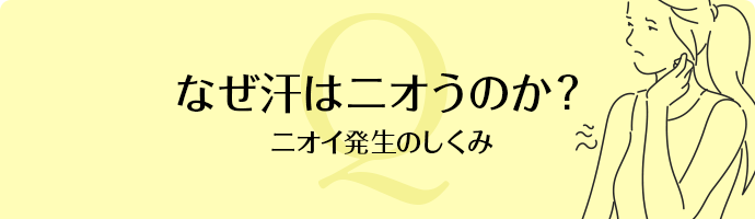 なぜ汗はニオうのか?(ニオイ発生のしくみ)