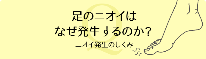 足のニオイはなぜ発生するのか?