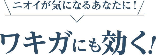 ニオイが気になるあなたに！ワキガにも効く！